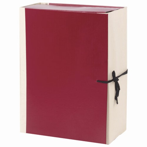 Архивный короб архивная А4 (225х310 мм), 120 мм, 4 завязки, бумвинил, корешок - коленкор