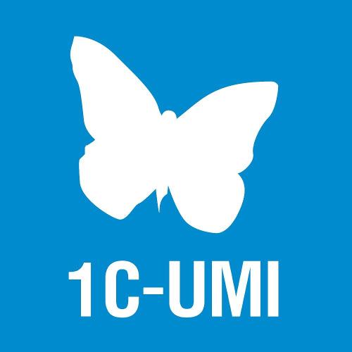 Система управления сайтами UMI.CMS. Лендинг на 3 месяца