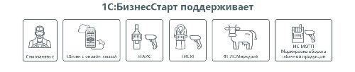 1С:БизнесСтарт. Электронная поставка