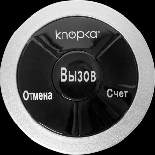 Кнопка вызова iKnopka APE330 серебристая
