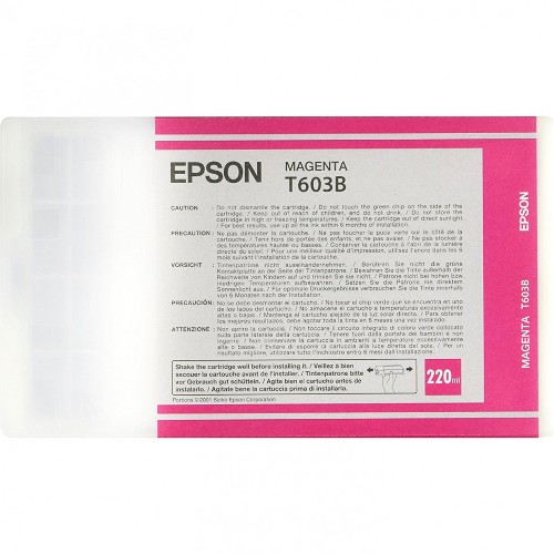 Картридж Epson C13T603B00