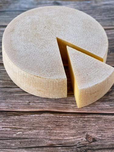 Сыр Монтазио 50-65% Исакова Я.Г.