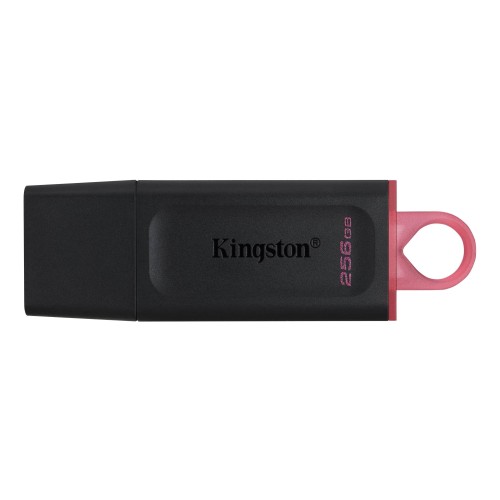 Флеш-память Kingston DataTraveler Exodia, USB 3.2 G1, роз/чер, DTX/256GB