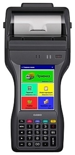 Терминал сбора данных (ТСД) Casio IT-9000-G20E
