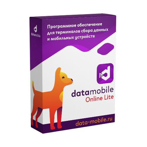 Подписка на обновления ПО DataMobile, версия Online Lite (LifeTime) в течение 12 месяцев