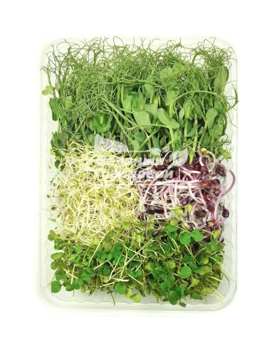 Микс-салат из микрозелени "Для смузи" 80 г Зеленый Городовой