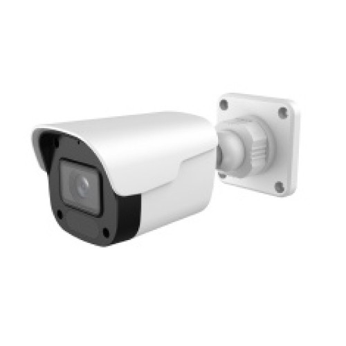 IP-видеокамеры Altcam ICF23IR(RU) IP-видеокамеры Altcam ICF23IR(RU)