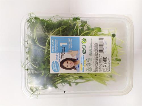 Микс-салат микрозелень №1 Живи Вкусно 80г
