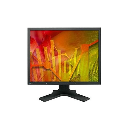 Монитор 21" EIZO FlexScan S2133 черный Монитор 21" EIZO FlexScan S2133 черный