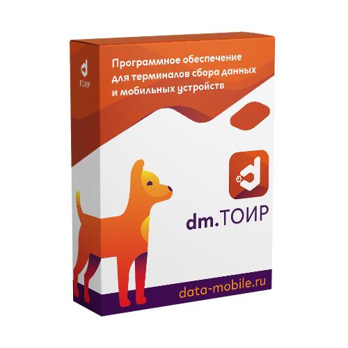 DM.Основные средства: ТОИР - LifeTime