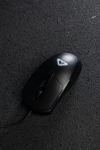 Мышь БЕШТАУ М100РУ