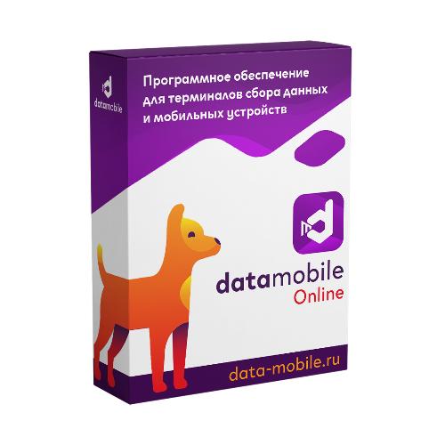 DataMobile, версия Online - подписка на 12 месяцев