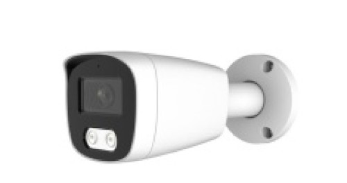 IP-видеокамеры Altcam ICF83IR(RU) IP-видеокамеры Altcam ICF83IR(RU)