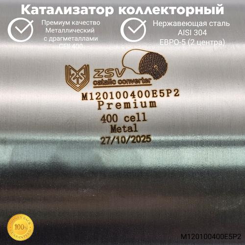 Полированный премиум катализатор Euro-5 120x100 (2 центра) 400 cell