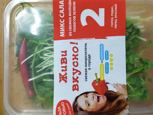 Микс-салат микрозелень №2 Живи Вкусно 80г