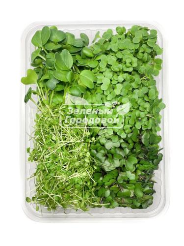 Микс-салат из микрозелени "Фермерский" 80 г Зеленый Городовой