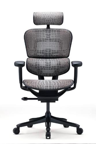 Кресло Comfort Workspace Ergohuman Everest Special Edition Кресло Comfort Workspace Ergohuman Everest Special Edition