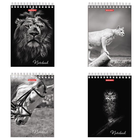 Блокнот А5 (146х205 мм), 60 л., гребень, картон, жесткая подложка, клетка, BRAUBERG, &quot;Животные&quot;