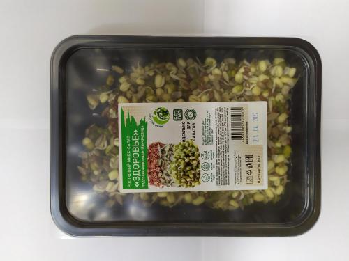 Микс-салат микрозелень Здоровье Живи вкусно 150г